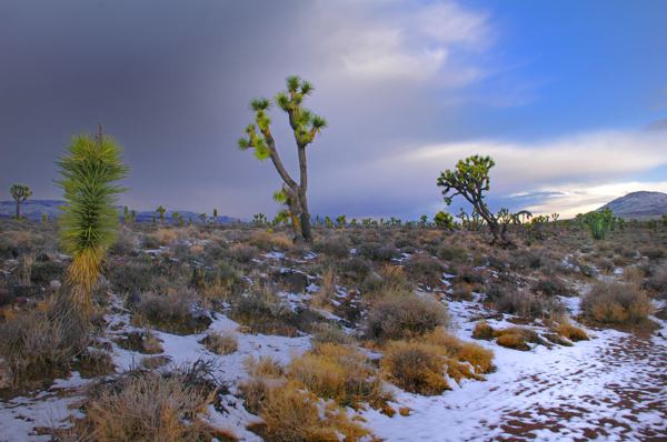 Death Valley High Country