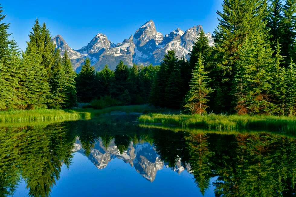 Schwabacher Landing Grand Teton