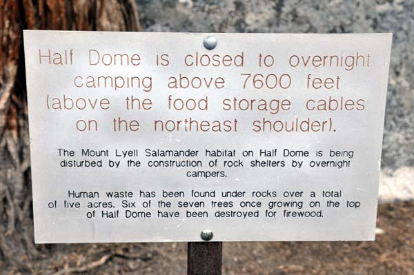 Half Dome Camping Sign