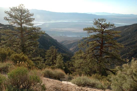 View into Owens Valley from Horseshoe Meadows Road