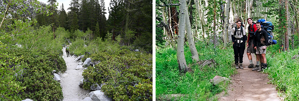 Hiking through Manzanita and Aspen Groves