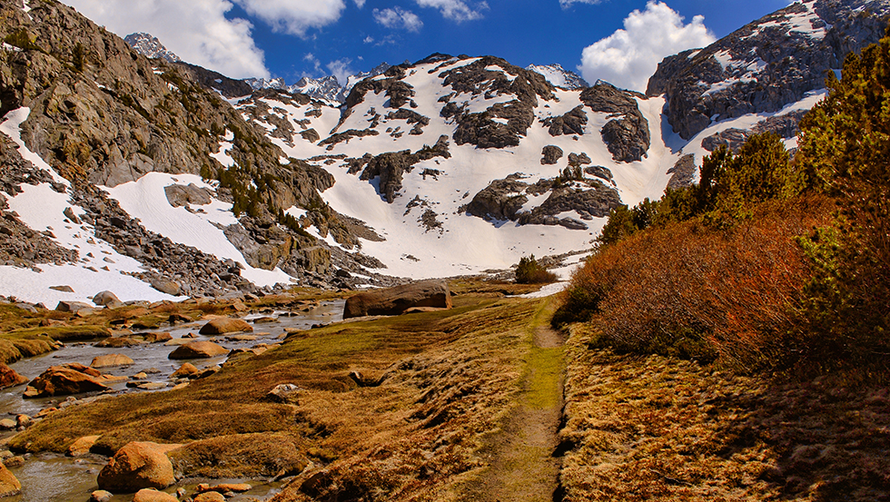 Sam Mack Meadow