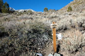 North Fork Trail Marker