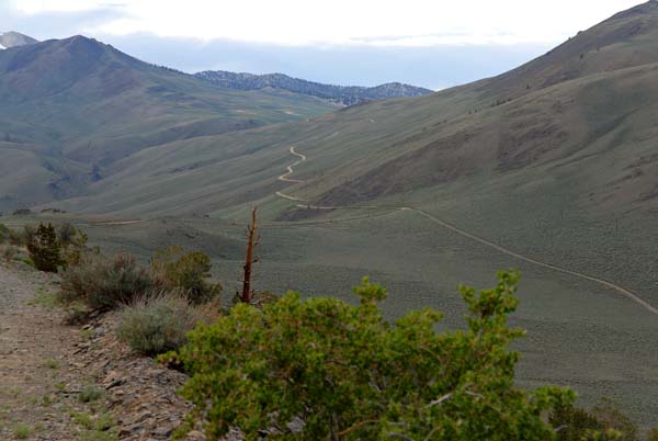 White Mountain Dirt Road Leading to Trailhead