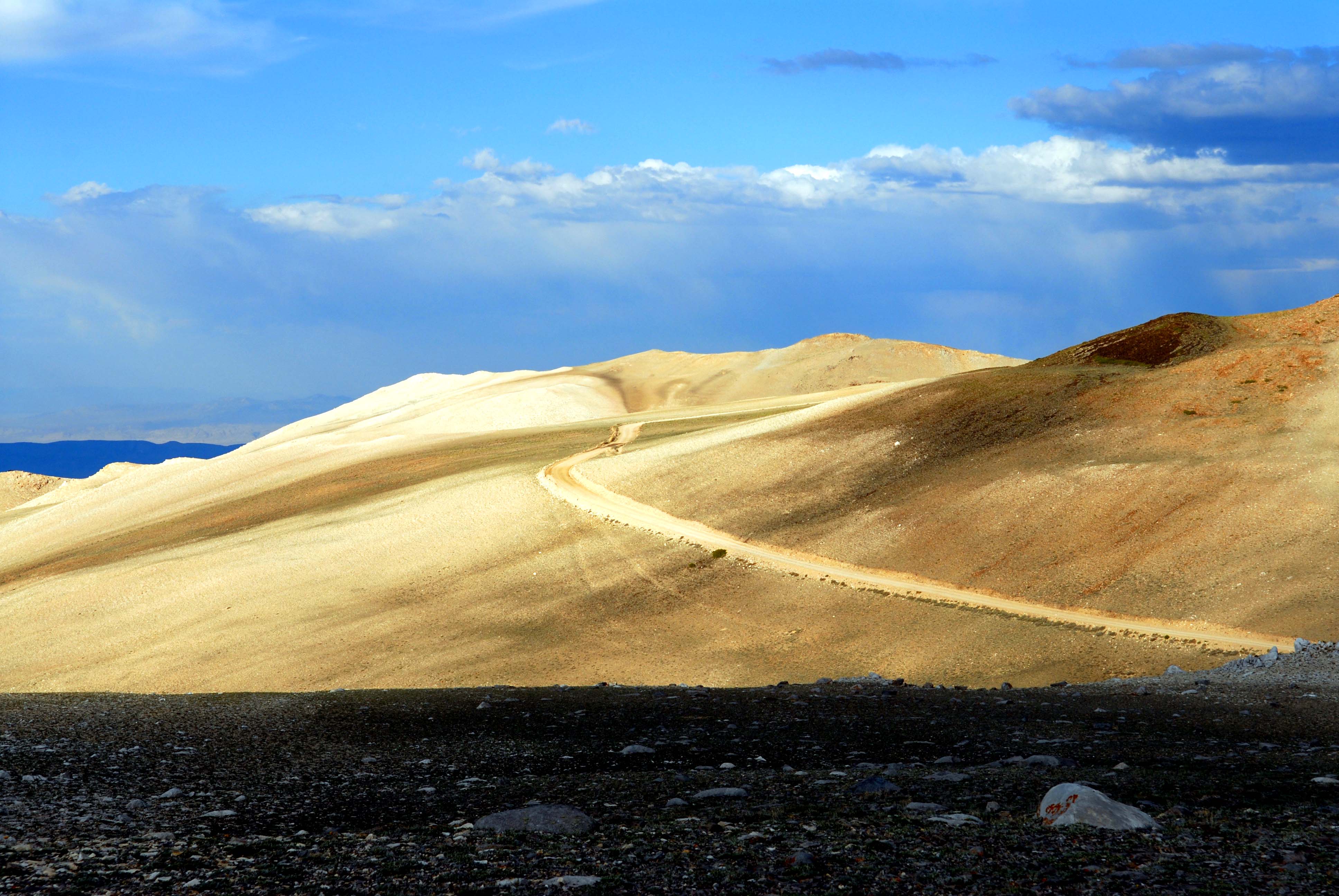 Barren Slopes high on White Mountain