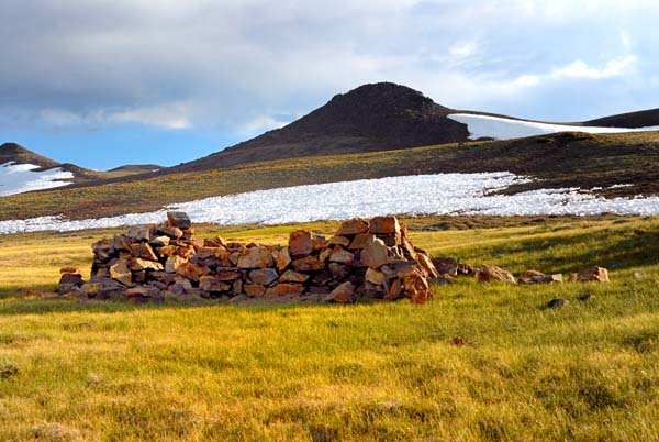 Alpine Meadow White Mountain